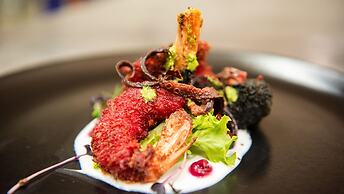 Gondwana Game Reserve