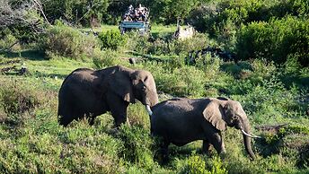 Gondwana Game Reserve