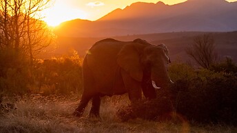 Gondwana Game Reserve