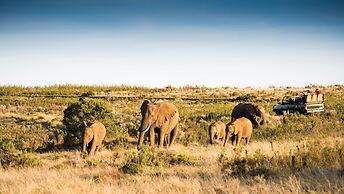 Gondwana Game Reserve