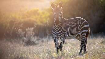 Gondwana Game Reserve