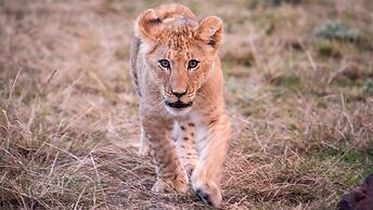 Gondwana Game Reserve