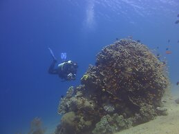 Red Sea Dive Center - Hotel & Dive Center