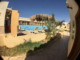 Red Sea Dive Center - Hotel & Dive Center