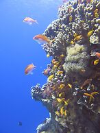 Red Sea Dive Center - Hotel & Dive Center