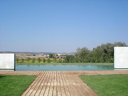 Pago Del Vicario