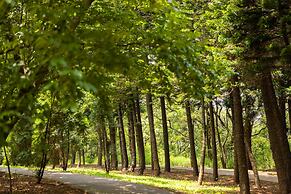 South Garden Hotels and Resorts