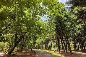 South Garden Hotels and Resorts