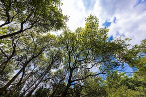 South Garden Hotels and Resorts