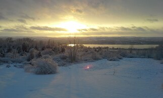 The Fox and the Grapes Bed & Breakfast