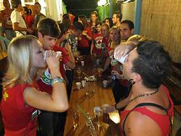 Sunflower Beach Backpacker Hostel