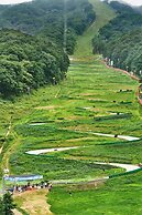 Phoenix Hotel Pyeongchang