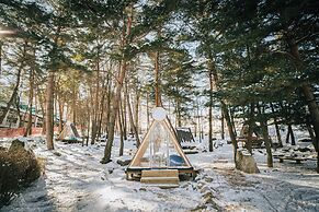 Phoenix Hotel Pyeongchang