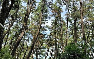 Commodore Hotel Pohang