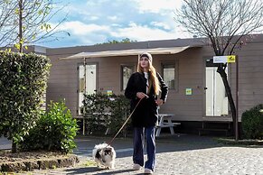 hu Roma Camping In Town