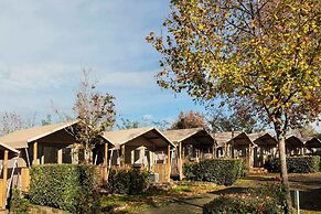 hu Roma Camping In Town