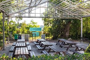 hu Roma Camping In Town