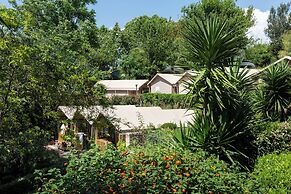 hu Roma Camping In Town