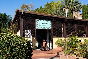 hu Roma Camping In Town