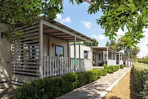 hu Roma Camping In Town