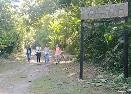 Paraiso Rainforest and Beach Hotel