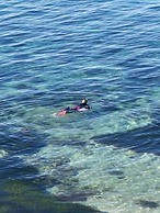 Tepanee Beach Resort