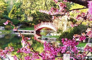 Paso by BA Tango Apartments