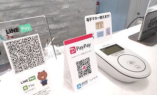 Hotel Elsereine Osaka