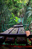 Borneo Tropical Rainforest Resort