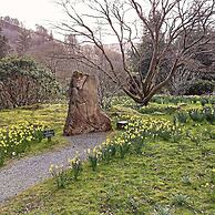 Invergarry Room Only Guest House