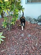 Coconut Cove Resort and Marina