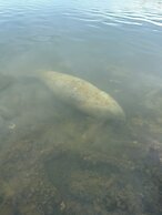 Coconut Cove Resort and Marina