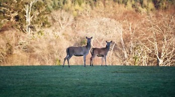 Park Place Apartments