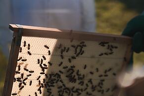 L’AND Vineyards – Relais & Châteaux