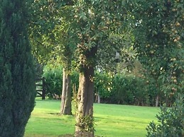 Ash Farm Country Guest House