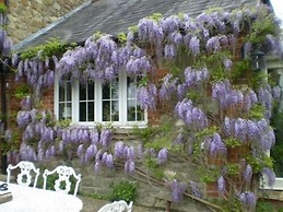 Blounts Court Farm