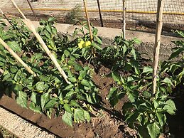 Hotel Prince Stafilos