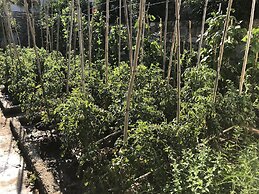 Hotel Prince Stafilos