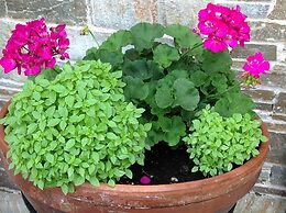 Hotel Prince Stafilos