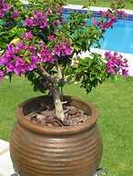 Hotel Prince Stafilos