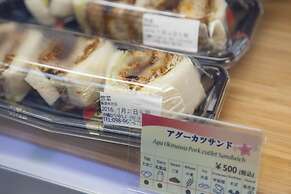 Okinawa Kariyushi Beach Resort Ocean Spa