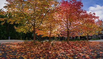 Treghan Luxury Lodge