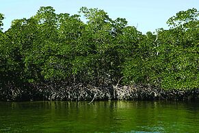 Amertha Bali Villas Beach Front Resort and Spa