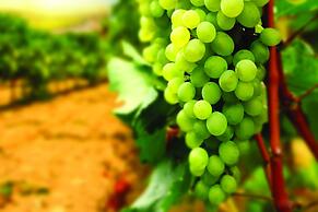 Amertha Bali Villas Beach Front Resort and Spa