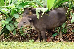 Tapirus Lodge