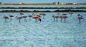 Tenuta San Francesco