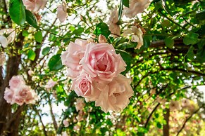 Stonewell Cottages & Vineyards