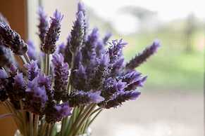 Stonewell Cottages & Vineyards