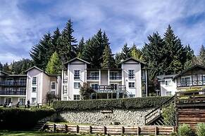 Aldea Andina Hotel & Spa