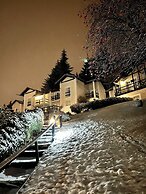 Aldea Andina Hotel & Spa